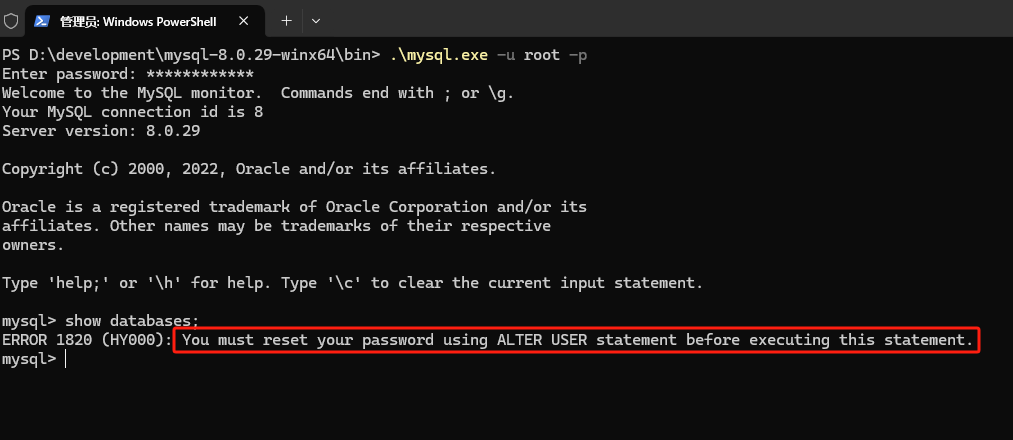 执行SQL